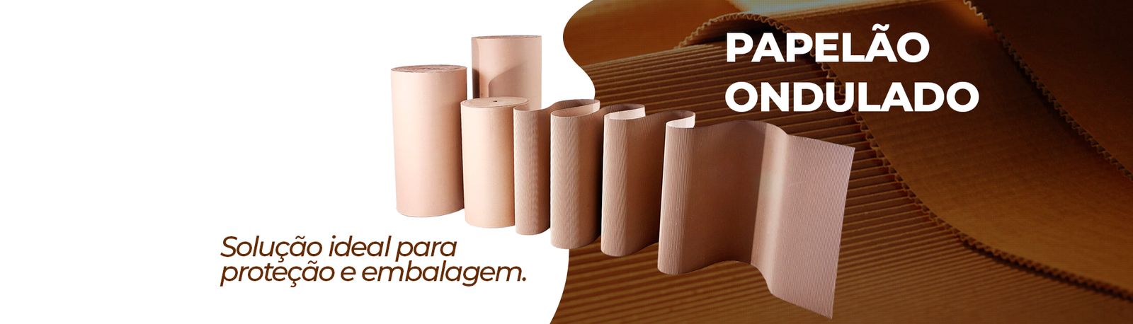 PAPELÃO_2